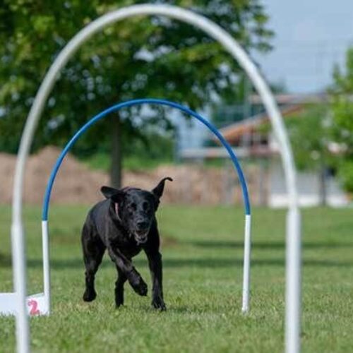 301f827d0cf88a3ad8539efd7e0c0795