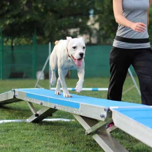 33750026_1859812277390747_8698088014611480576_o