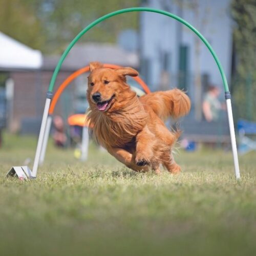 3a2a8c39d85b2306fbf21e0459f02d94