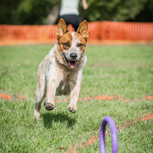 514272398_658781053932334_2699735779650984467_n