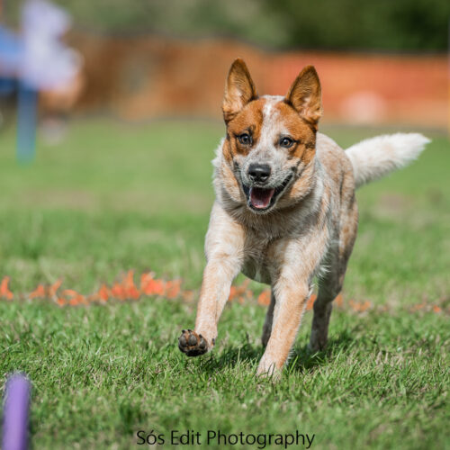 545141305_658781173932322_7861478038902139651_n