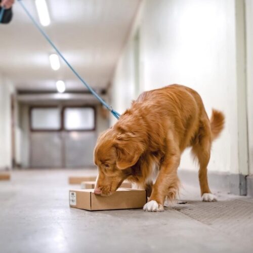 67a11eb444bbabd4252368da72f81c2b