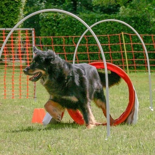 8455efb25ff4e523b1d8e8680639c292