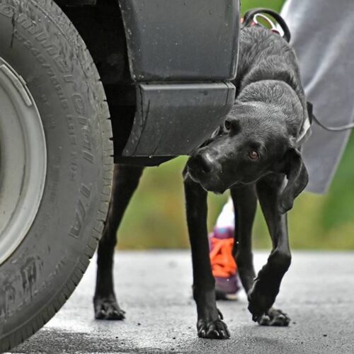 f69885e248b03a249d1a45d385e9ff5e