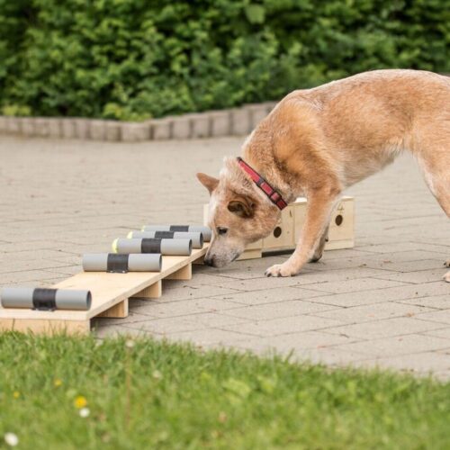 fccda8e0d6ccea14b5b0099c118dd34d